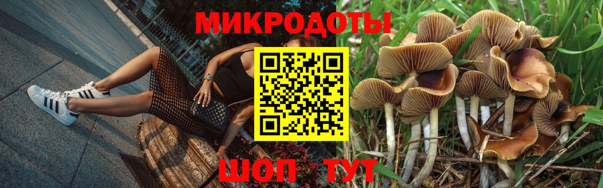 Псилоцибиновые грибы Psilocybine cubensis  Вход с VPN  Галлюциногенные грибы ЛСД  Рославль 